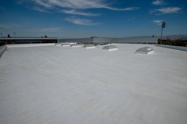 Best Storm Damage Roof Repair  in Decatur, AL