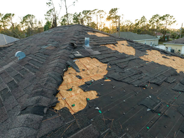 Best Roof Maintenance and Cleaning  in Decatur, AL