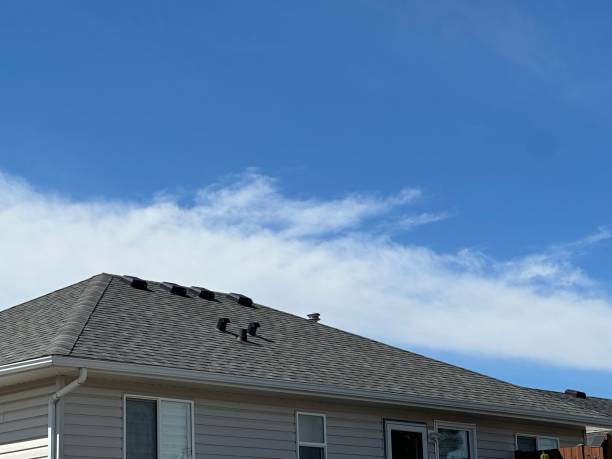 Best Roof Insulation Installation  in Decatur, AL